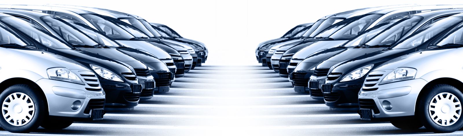 Rows of vehicles in a dealership