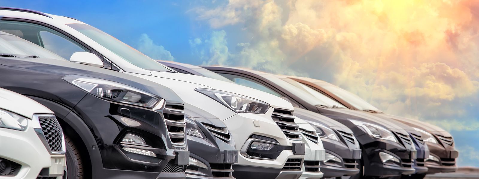 Vehicles lined up on a dealership lot